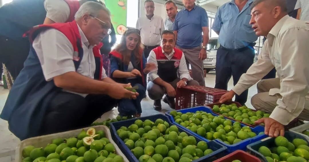 Buharkent’te Ilekler Tezgahta Incelendi (4)