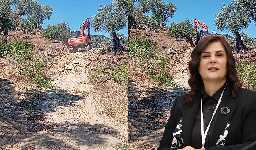 Çerçioğlu’nun hizmetleri dağ yollarını aşıyor.. Muhtar Deniz: Özlem Çerçioğlu’na çok teşekkür ediyorum