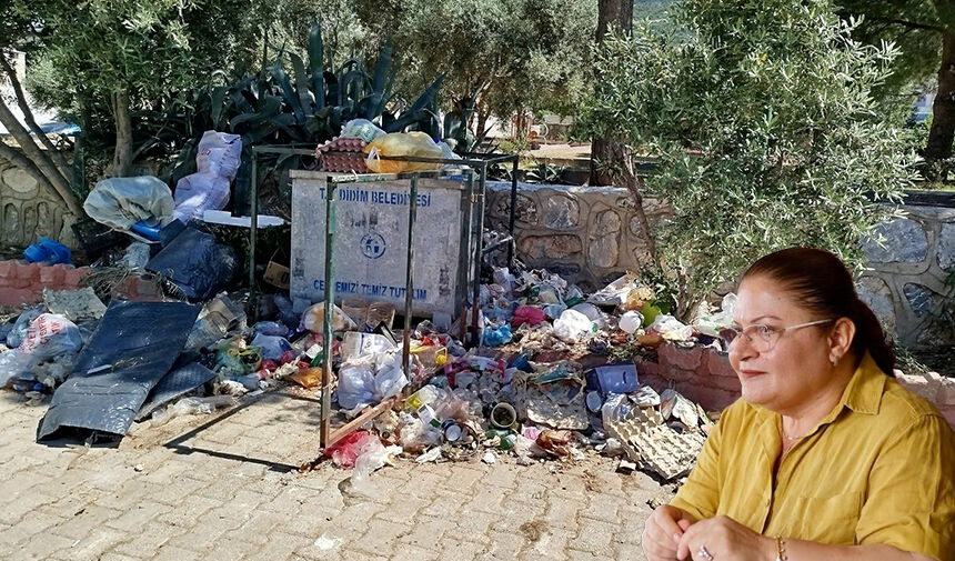 Çöp, koku, sinek... Didim’de hayat kabusa döndü
