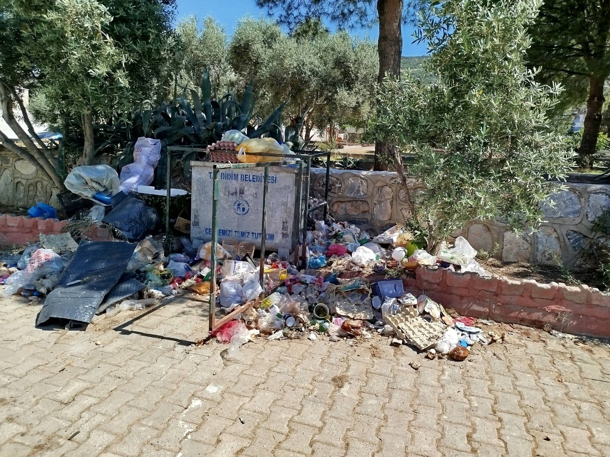 Çöp, Koku, Sinek... Didim’de Hayat Kabusa Döndü (2)