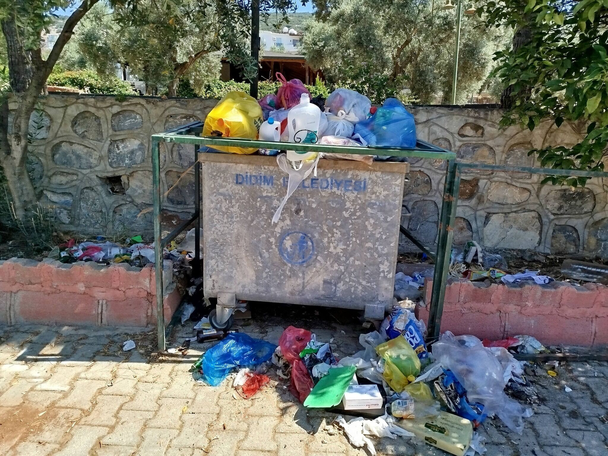Çöp, Koku, Sinek... Didim’de Hayat Kabusa Döndü (3)