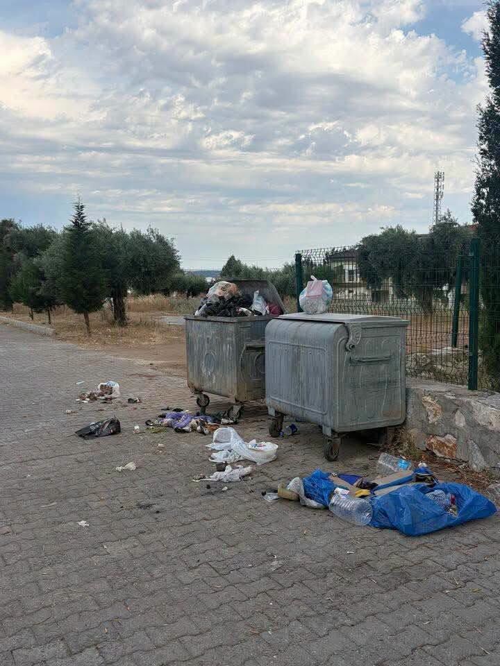Didim'de Hijyen Alarmı.. Çöp Yığınları Mahalleleri Sardı (3)
