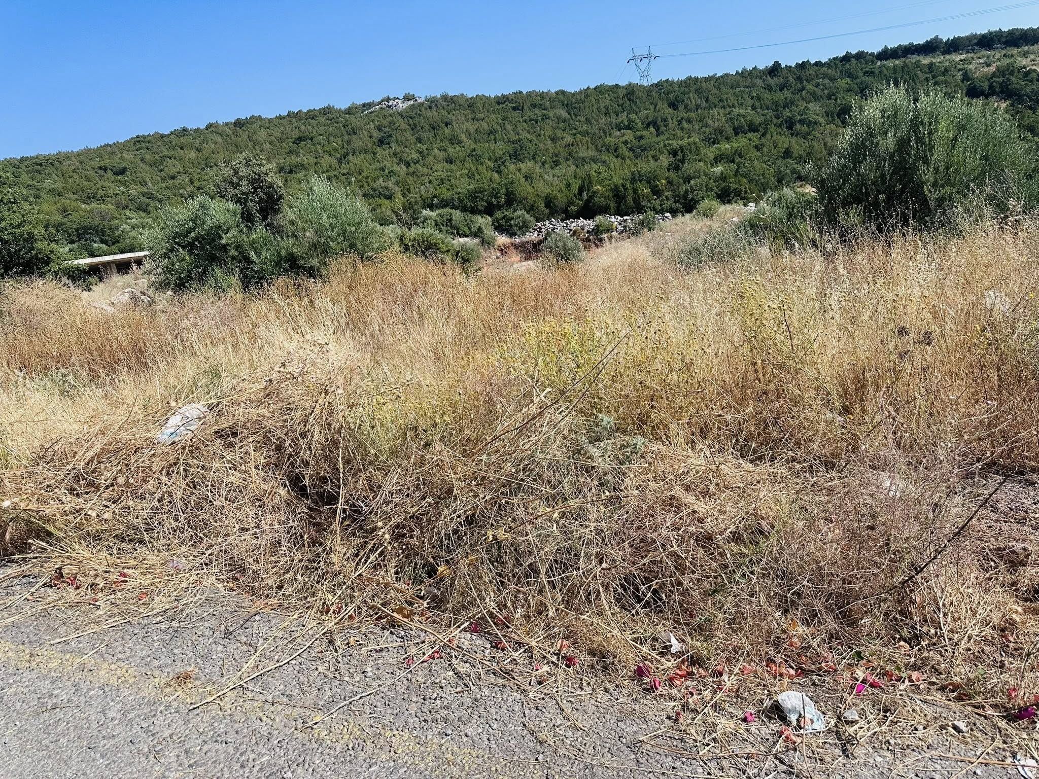 Didim’de Yangın Tehlikesi Alarm Veriyor! Vatandaşlardan Chp’li Hatice Gençay’a Tepki (1)