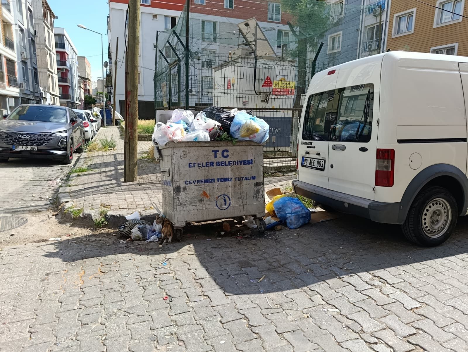 Efeler'de Çöp Dağları Oluştu, Mahalleli Isyanda.. Chp’li Yetişkin Nerede (6)