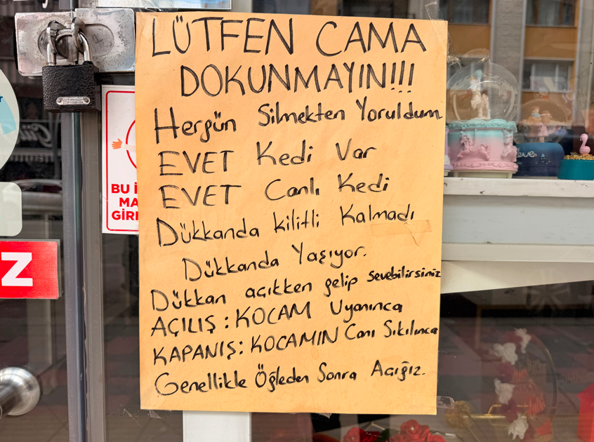 Ekran Görüntüsü 2026 06 27 132033