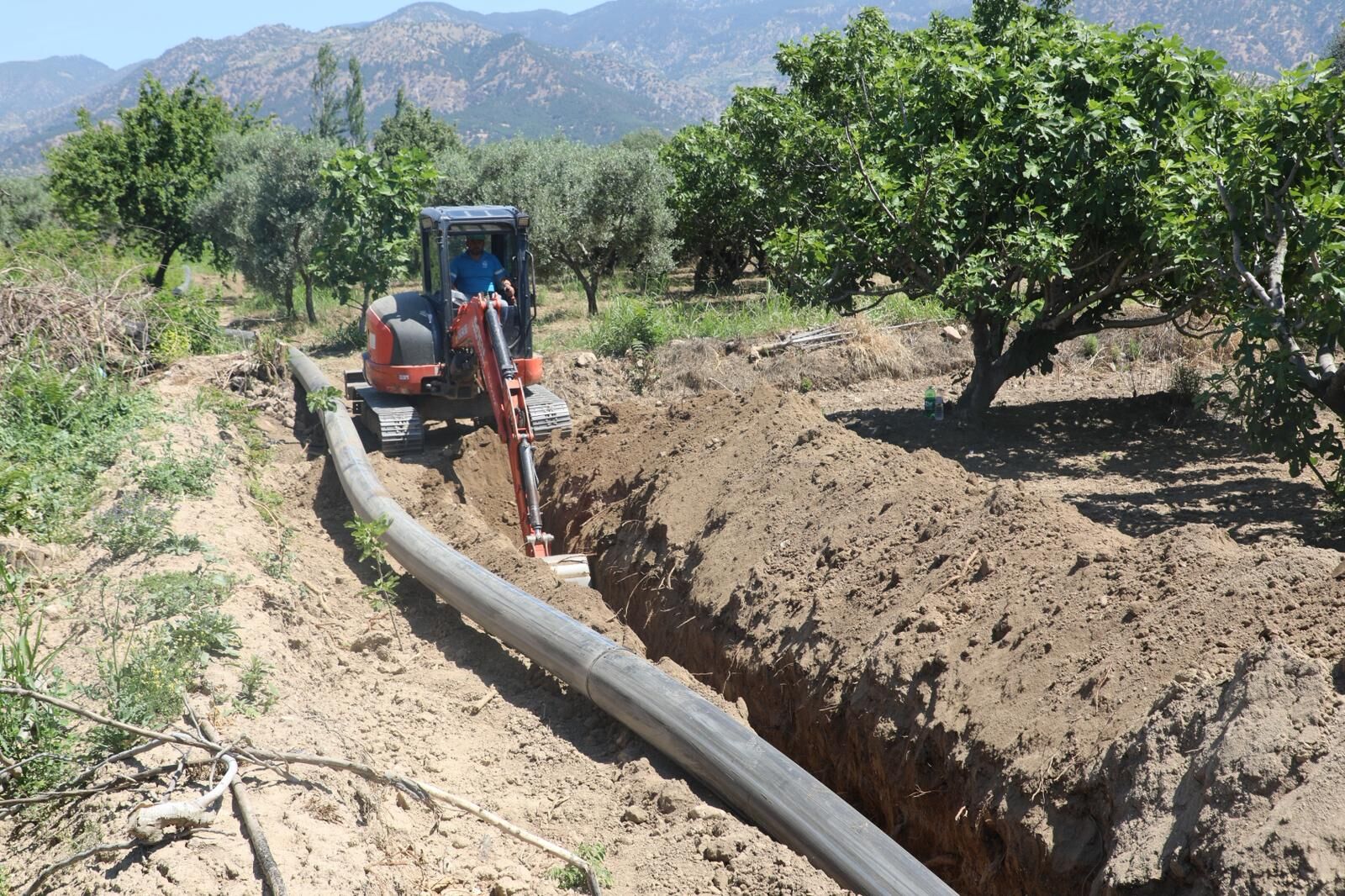 Fotoğraf (6)-35
