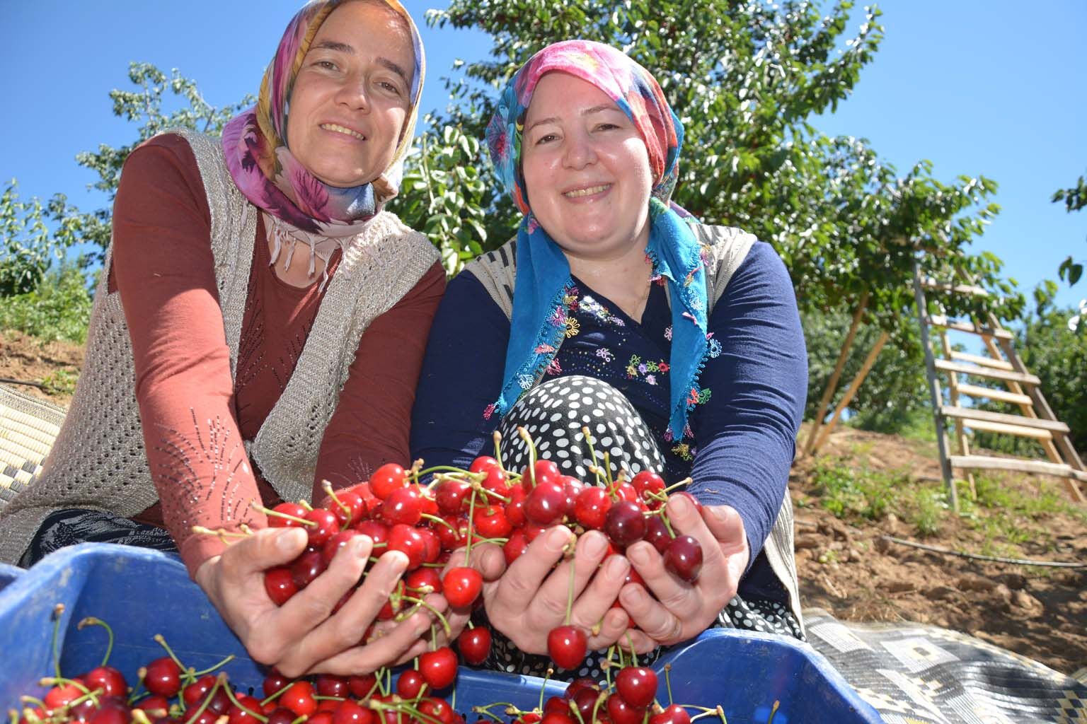 Kiraz Yüzleri Güldürdü (3)