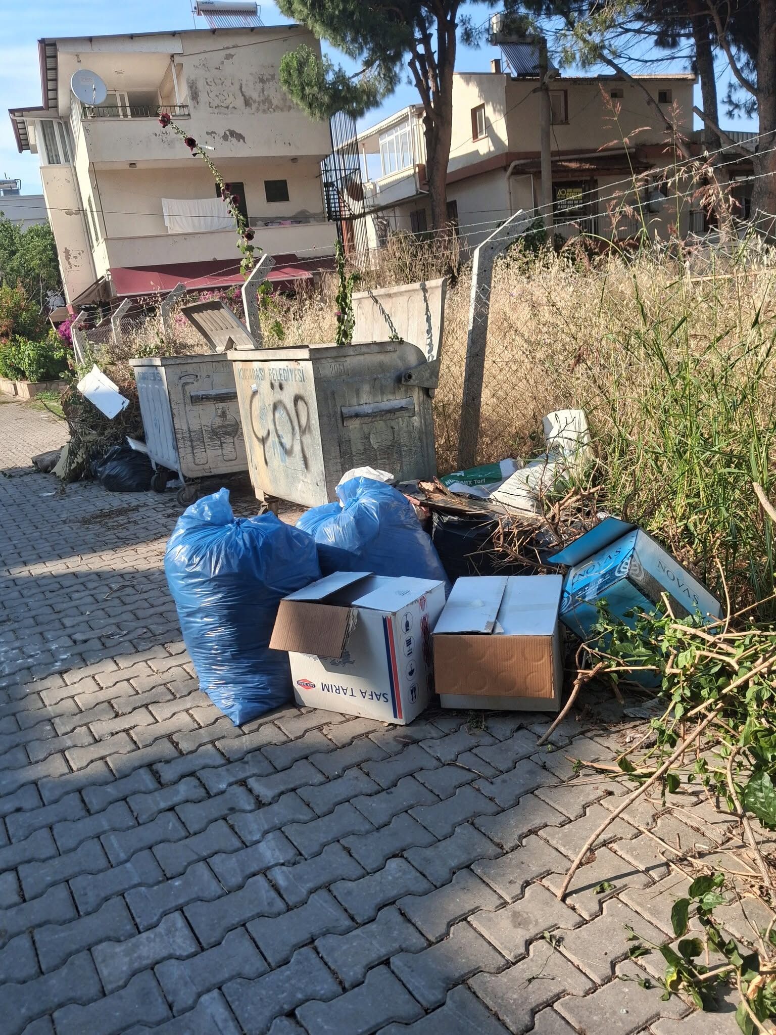 Kuşadası Çöp Içinde, Ilçe Belediyesi Nerede (2)
