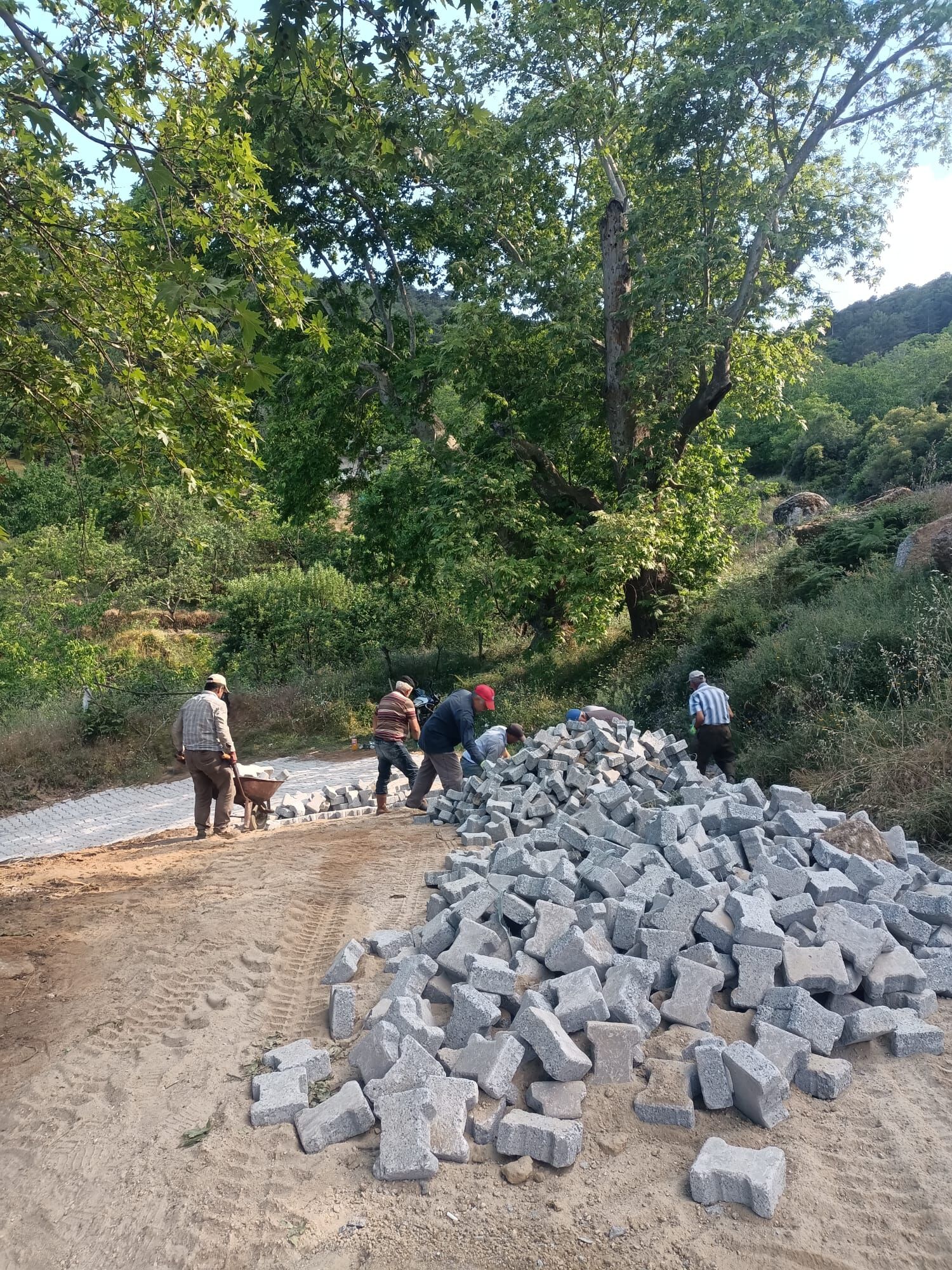 Vatandaş Istedi, Özlem Çerçioğlu Talimat Verdi, Parke Taşları Mahalleye Ulaştı (1)
