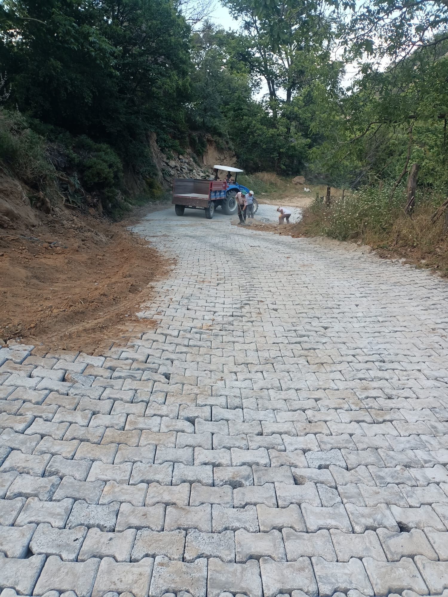 Vatandaş Istedi, Özlem Çerçioğlu Talimat Verdi, Parke Taşları Mahalleye Ulaştı (2)