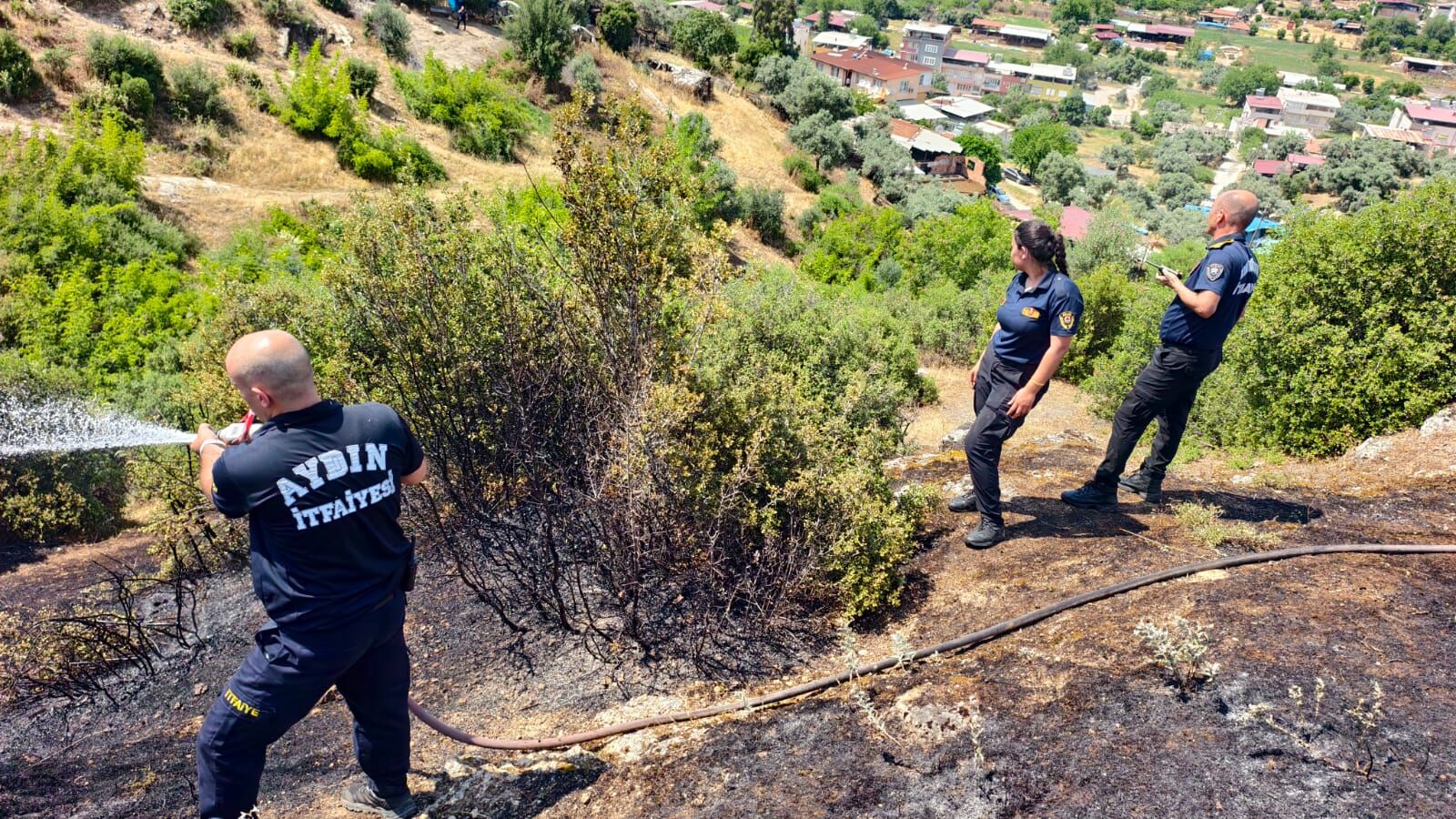 Zeytinlik Alanda Çıkan Yangına Aydın Büyükşehir Belediyesi İtfaiyesi’nden Hızlı Müdahale (2)