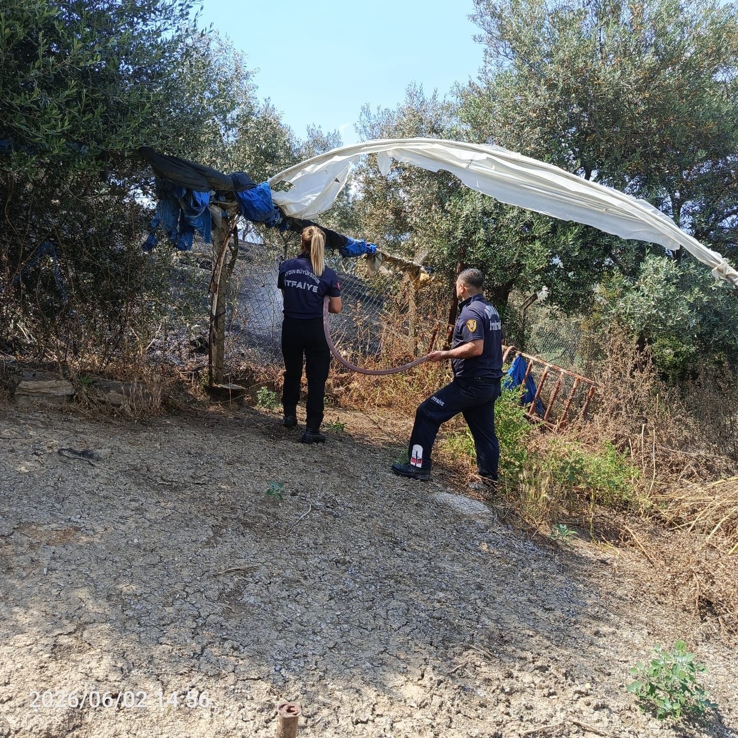 Zeytinlik Alanda Çıkan Yangına Aydın Büyükşehir Belediyesi İtfaiyesi’nden Hızlı Müdahale (4)