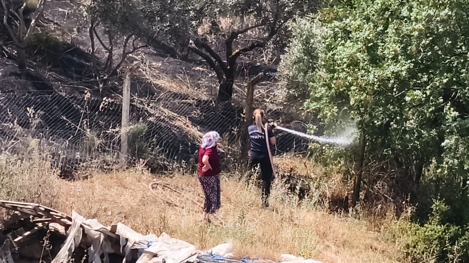 Zeytinlik Alanda Çıkan Yangına Aydın Büyükşehir Belediyesi İtfaiyesi’nden Hızlı Müdahale (5)