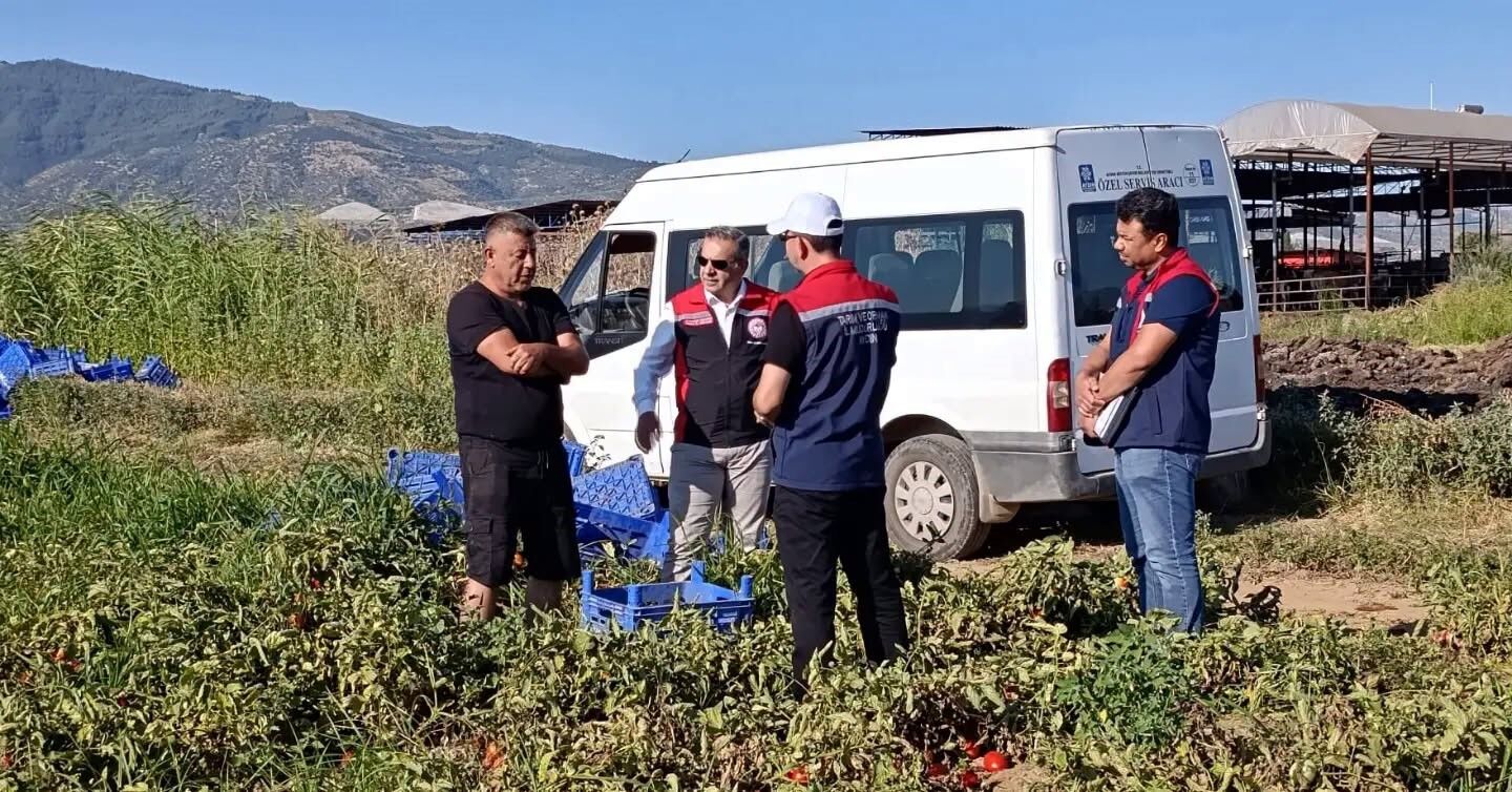 Aydın’da Hasat Zamanı (2)-1