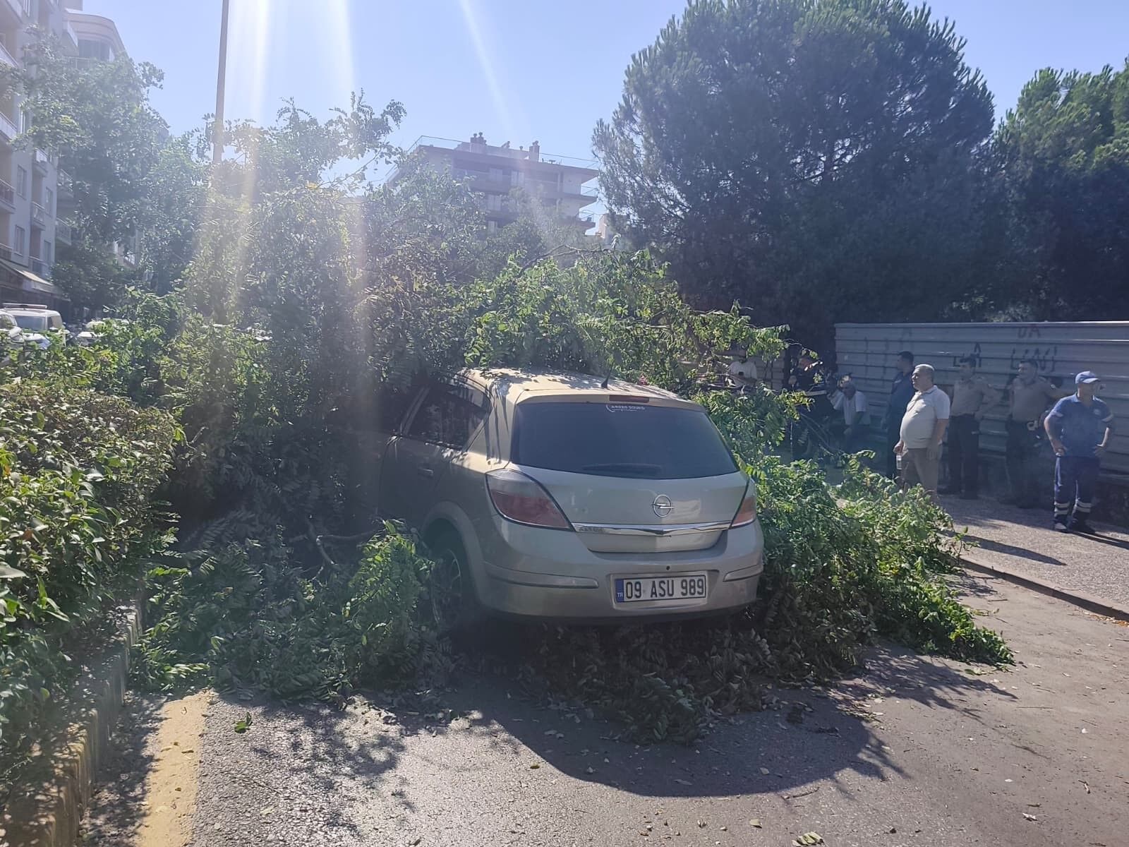 Aydın’da Otomobilin Üzerine Ağaç Devrildi (1)