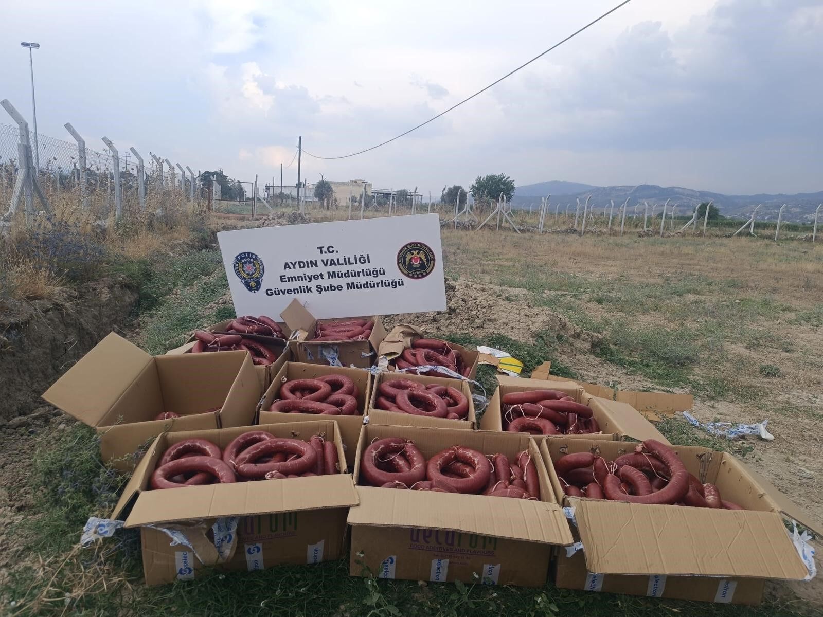 Aydın’da yine yangın çıktı