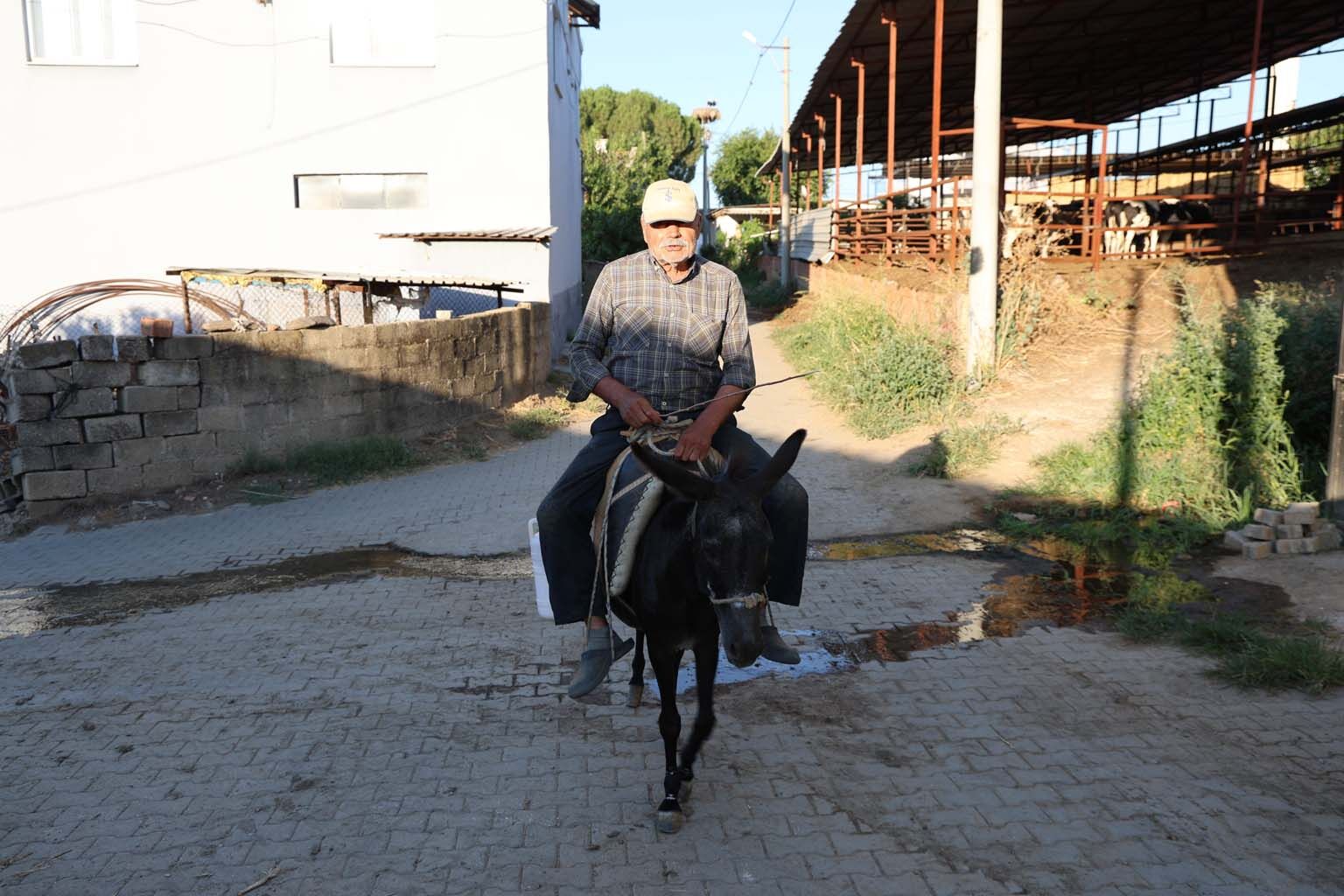 Aydınlı Ayhan Amca Eşek Ile Servis Yapmaya Devam Ediyor (3)