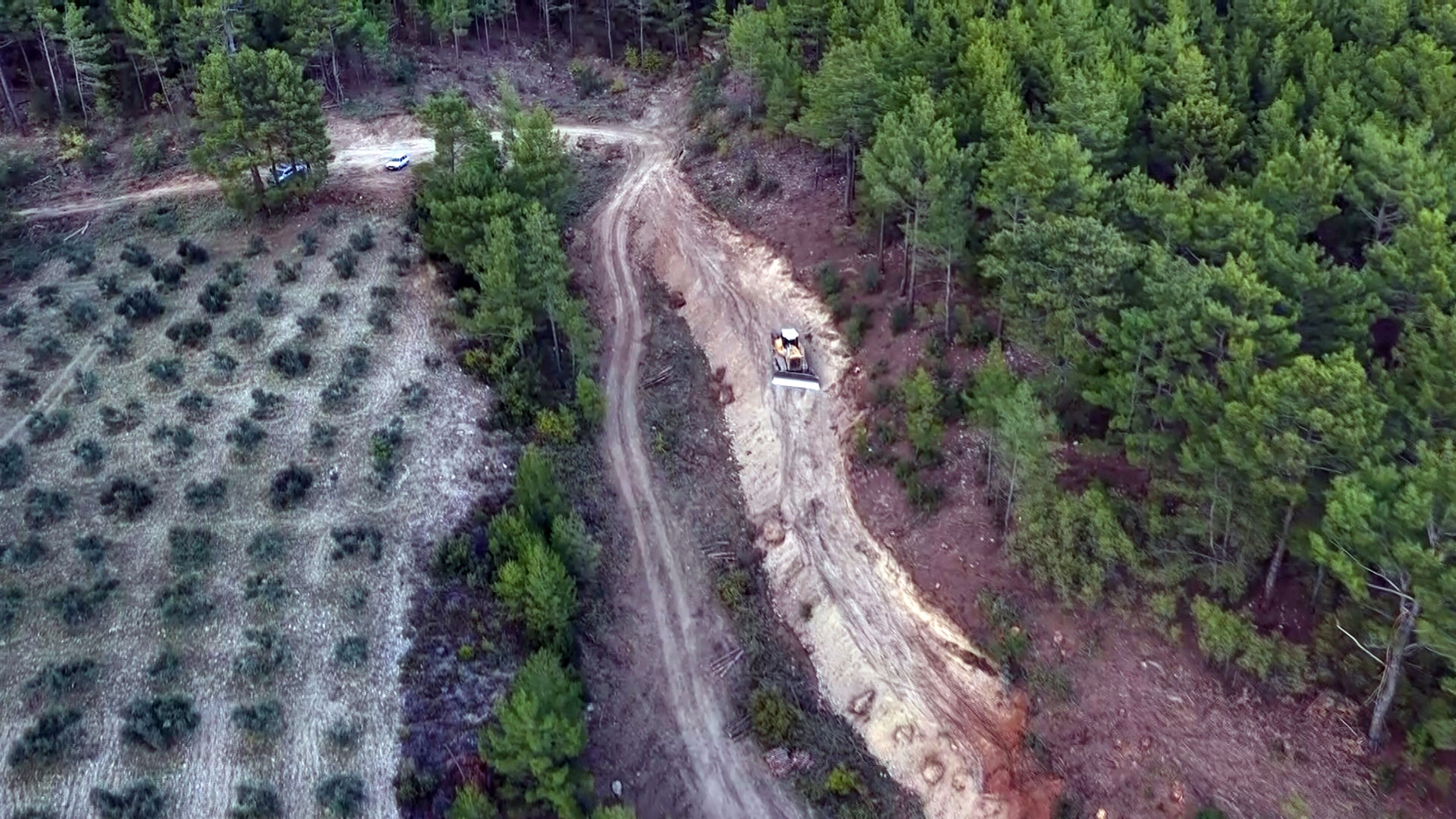 Muğla Ve Aydın'da Orman Yangın Şerit Yolu Uzunluğu 2 Bin Kilometreye Çıkıyor (2)
