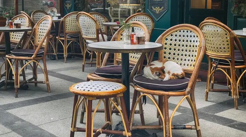 Restoran Ve Kafelerde Yeni Dönem.. Ne Bahçede Ne Terasta, Hiçbir Yerde Olmayacaklar (2)