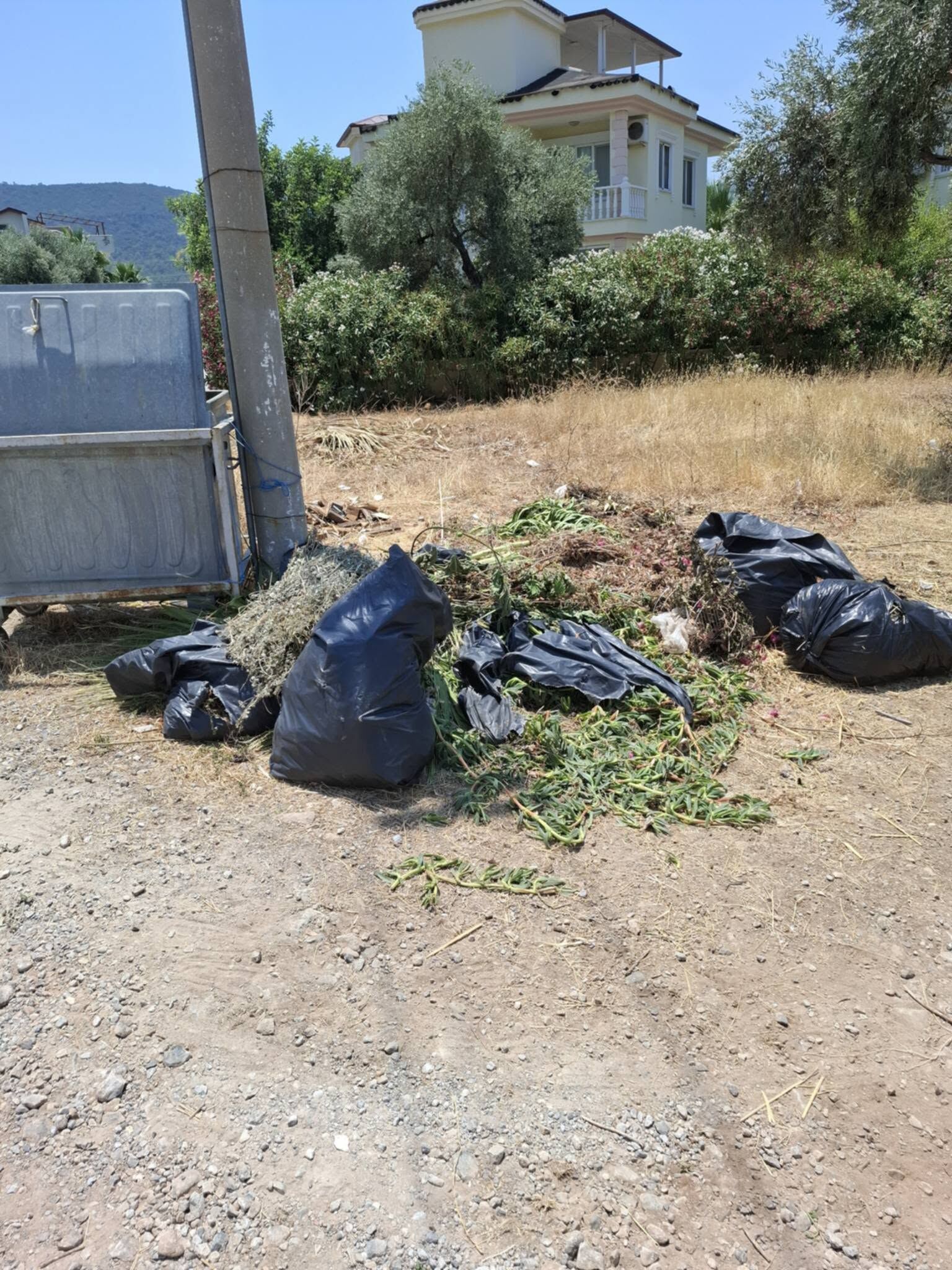 Turizm Merkezi Didim’de Çöp Çilesi.. Didimliler Chp’li Hatice Totik Gençay’a Ateş Püskürdü (1)