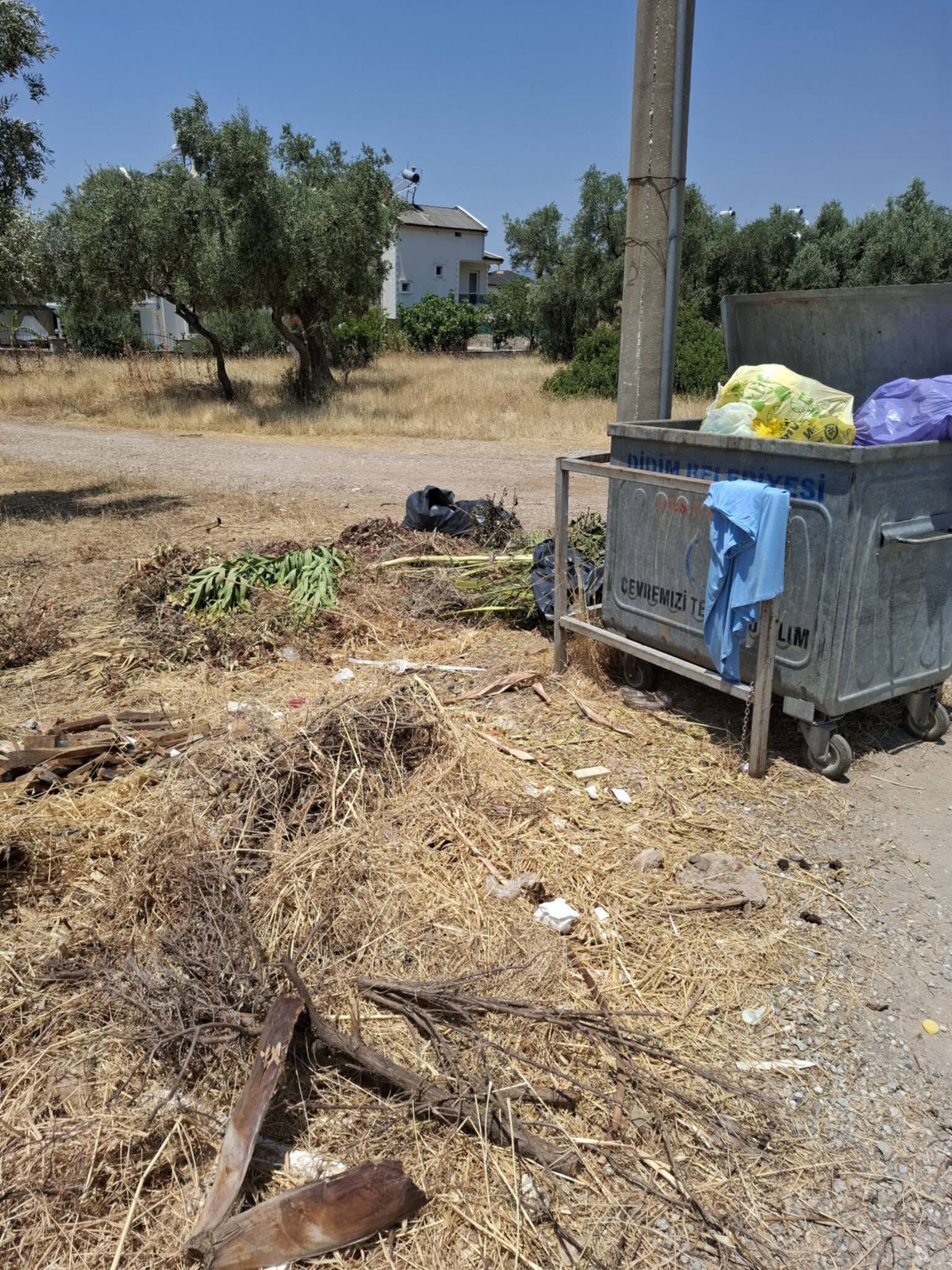 Turizm Merkezi Didim’de Çöp Çilesi.. Didimliler Chp’li Hatice Totik Gençay’a Ateş Püskürdü (2)