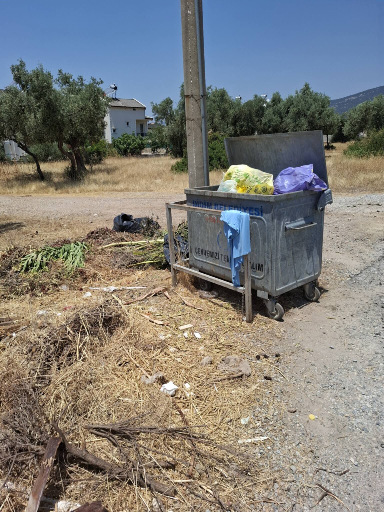Turizm Merkezi Didim’de Çöp Çilesi.. Didimliler Chp’li Hatice Totik Gençay’a Ateş Püskürdü (3)