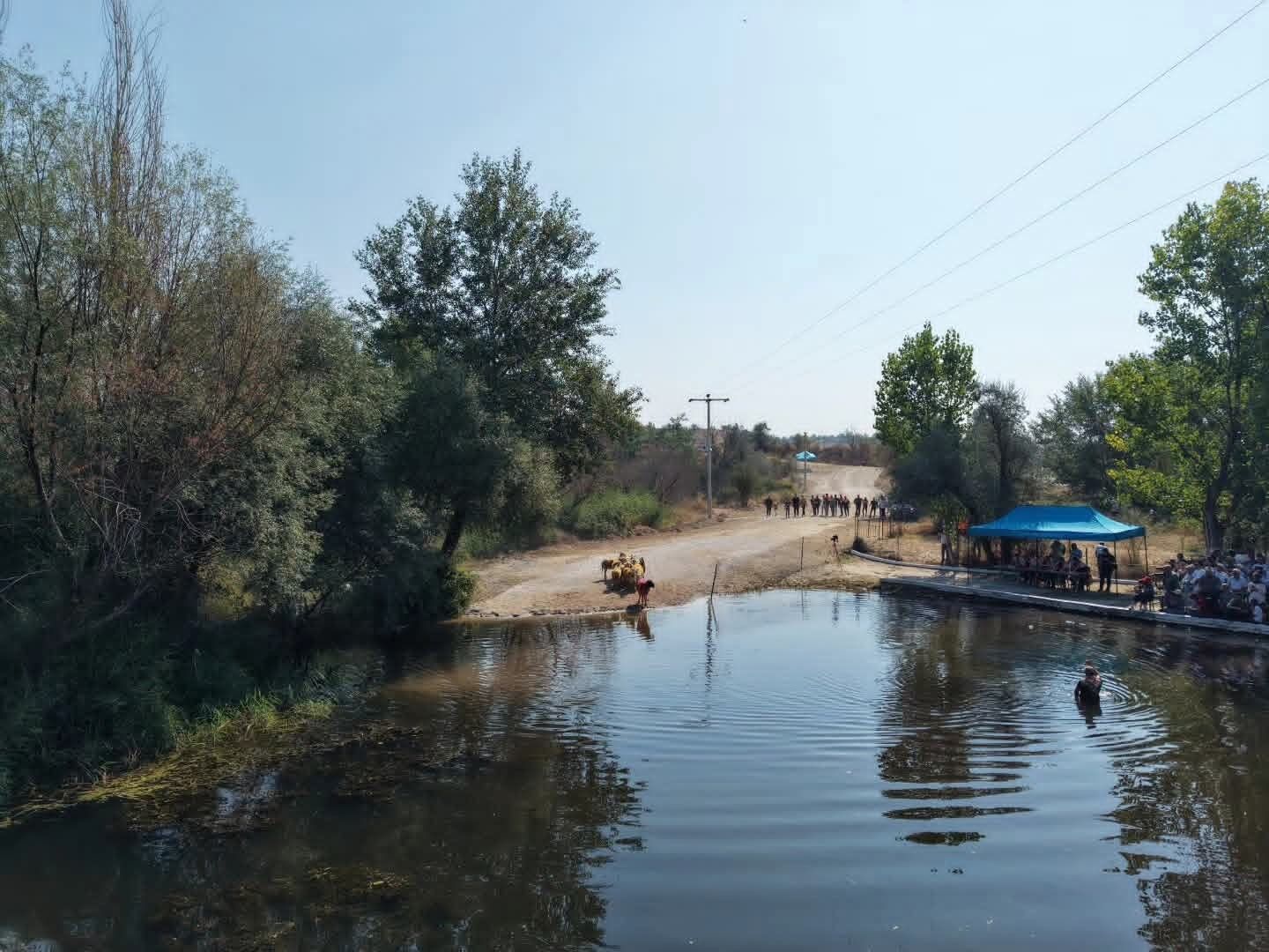 853 Yıllık Sudan Koyun Geçirme Festivaline Yoğun Ilgi (3)