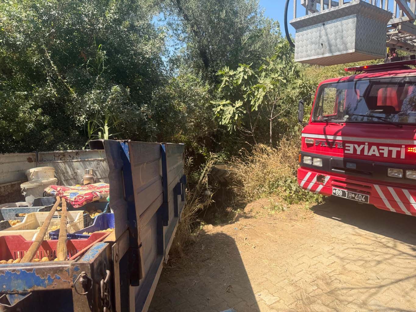 Aydın Germencik’te traktör devrildi, sürücü altında kaldı