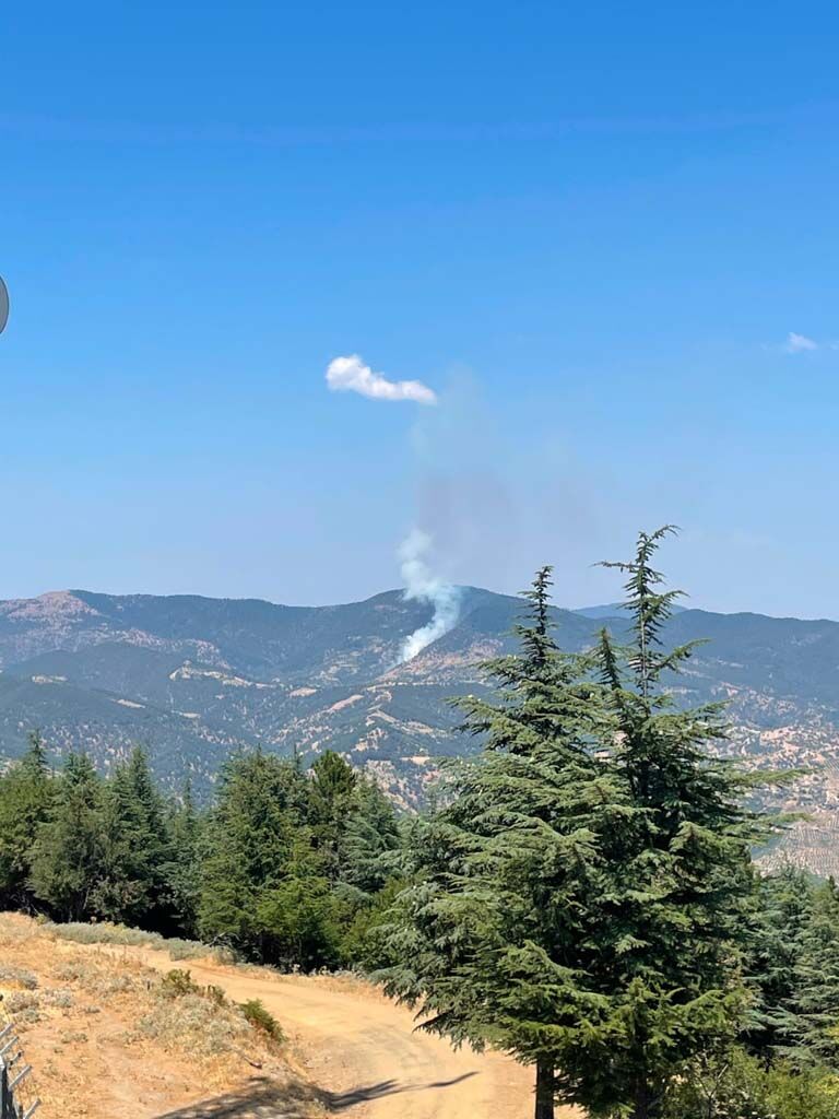 Aydın Kuyucak’ta 5 dönüm kestanelik küle döndü