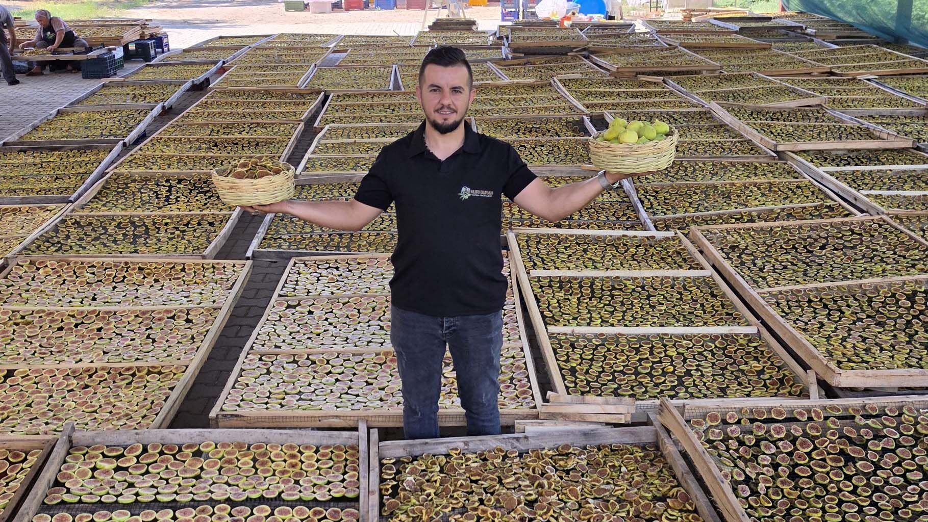 Aydın'dan Dünyaya Yayılan Lezzet İncir Cipsi (2)