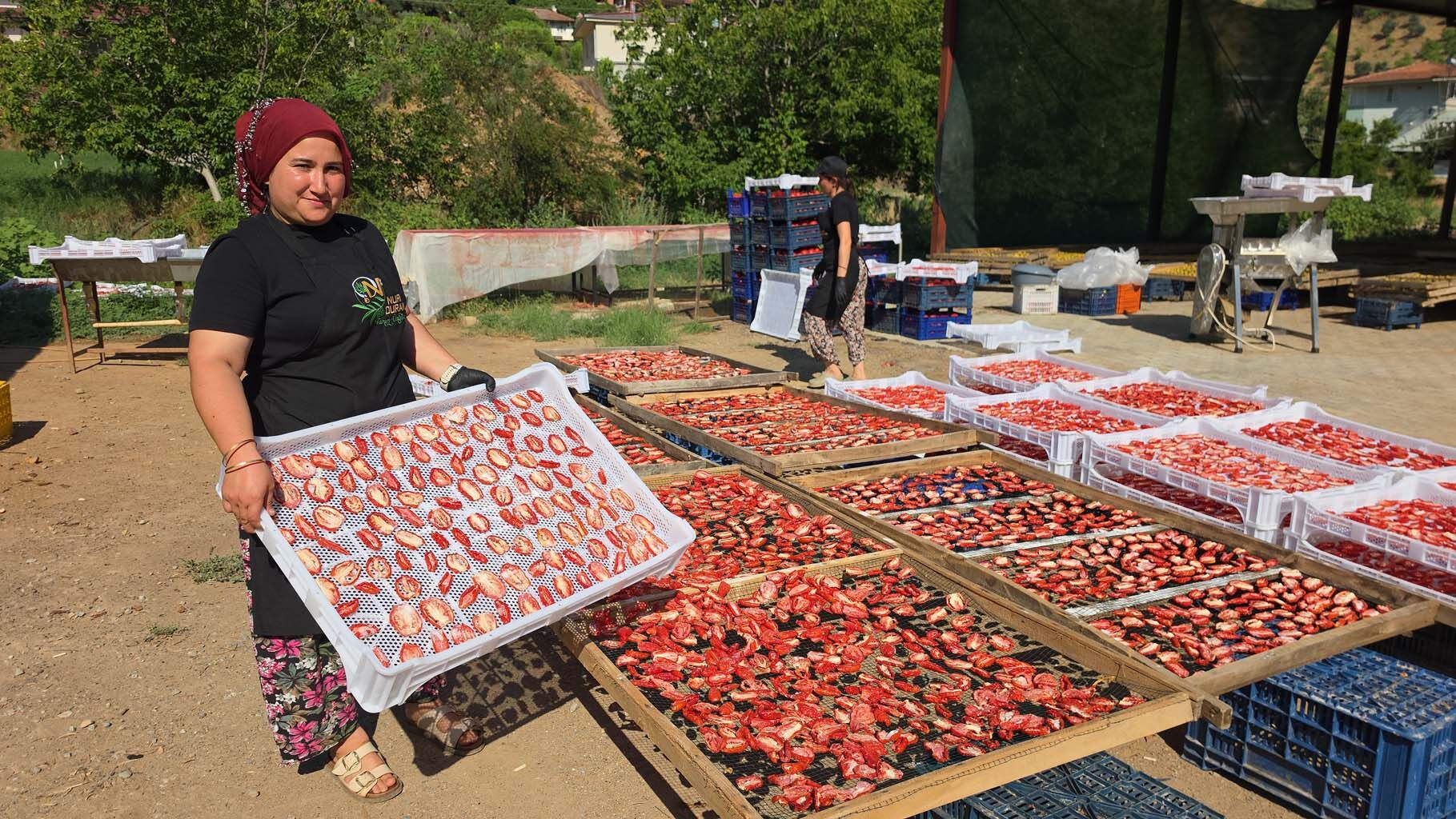 Aydın'dan Dünyaya Yayılan Lezzet İncir Cipsi (3)