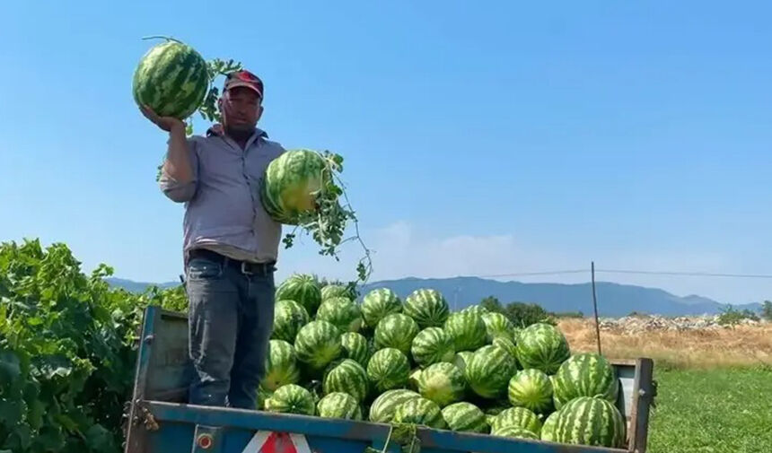 'Bu fiyata satmam' dedi! Üreticinin karpuz için bulduğu çözüm şaşırttı