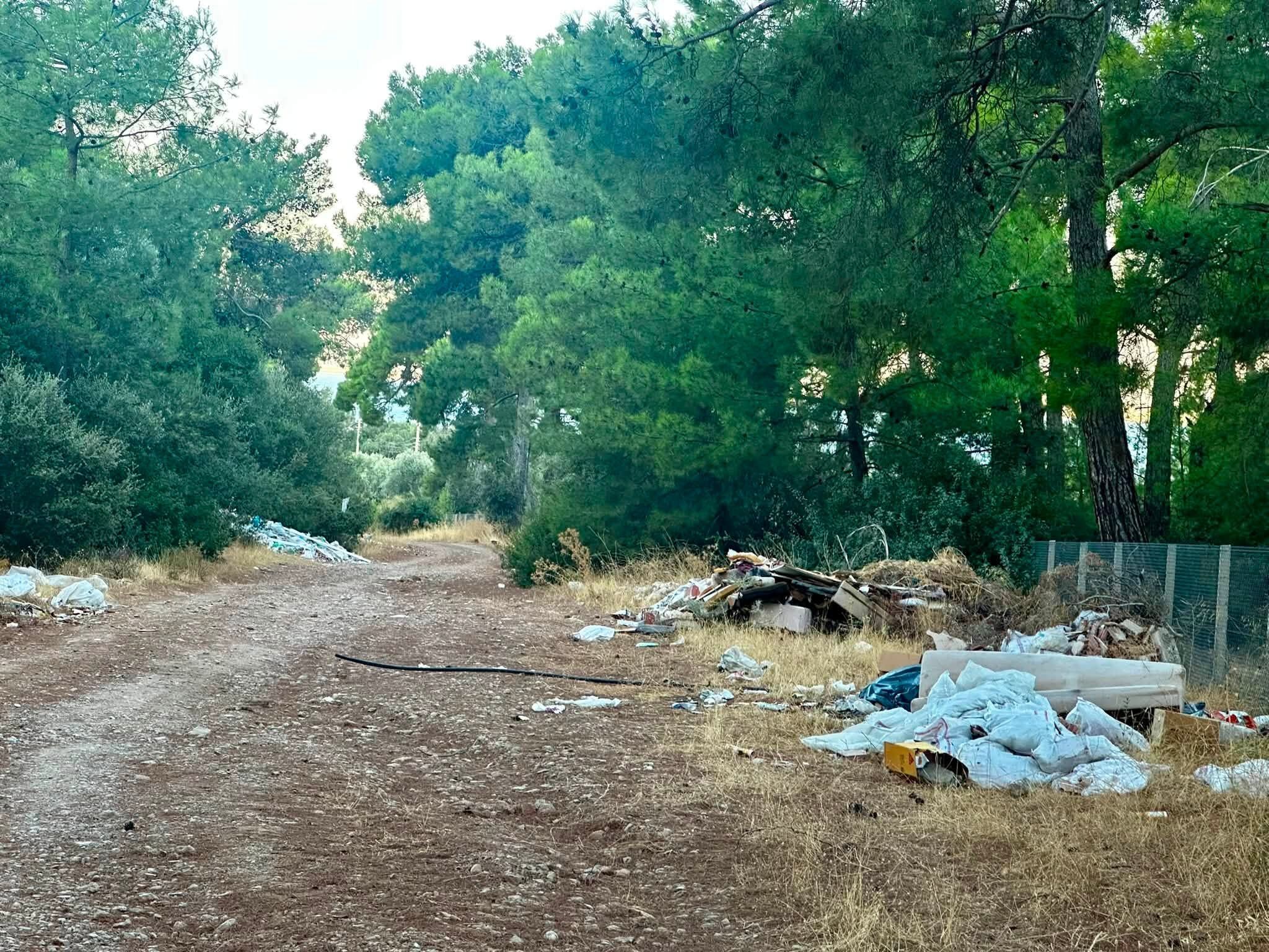 Didim Belediyesi (2)