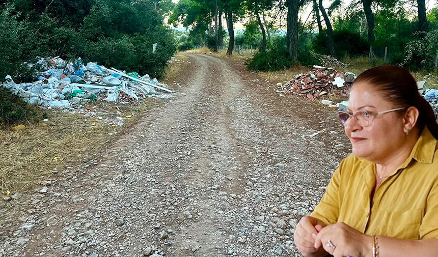 Didim'de çevre skandalı: Turizm cennetinde çöp ve moloz rezaleti