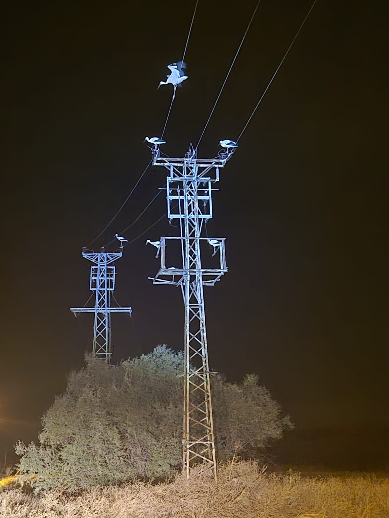Dönüş Yolundaki Leyler Bazı Bölgeleri Elektriksiz Bıraktı (1)