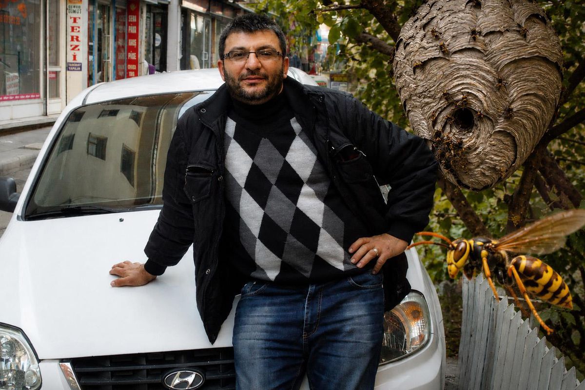 Kimse böyle biteceğini tahmin etmedi.. Eşek arıları can aldı