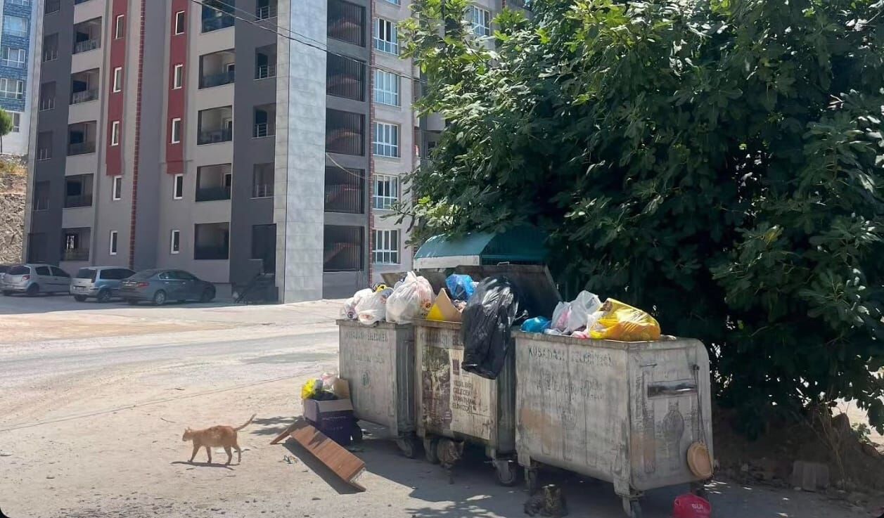 Kuşadası Çöp Adasına Döndü! Kuşadası Belediyesi Ne Iş Yapıyor (2)