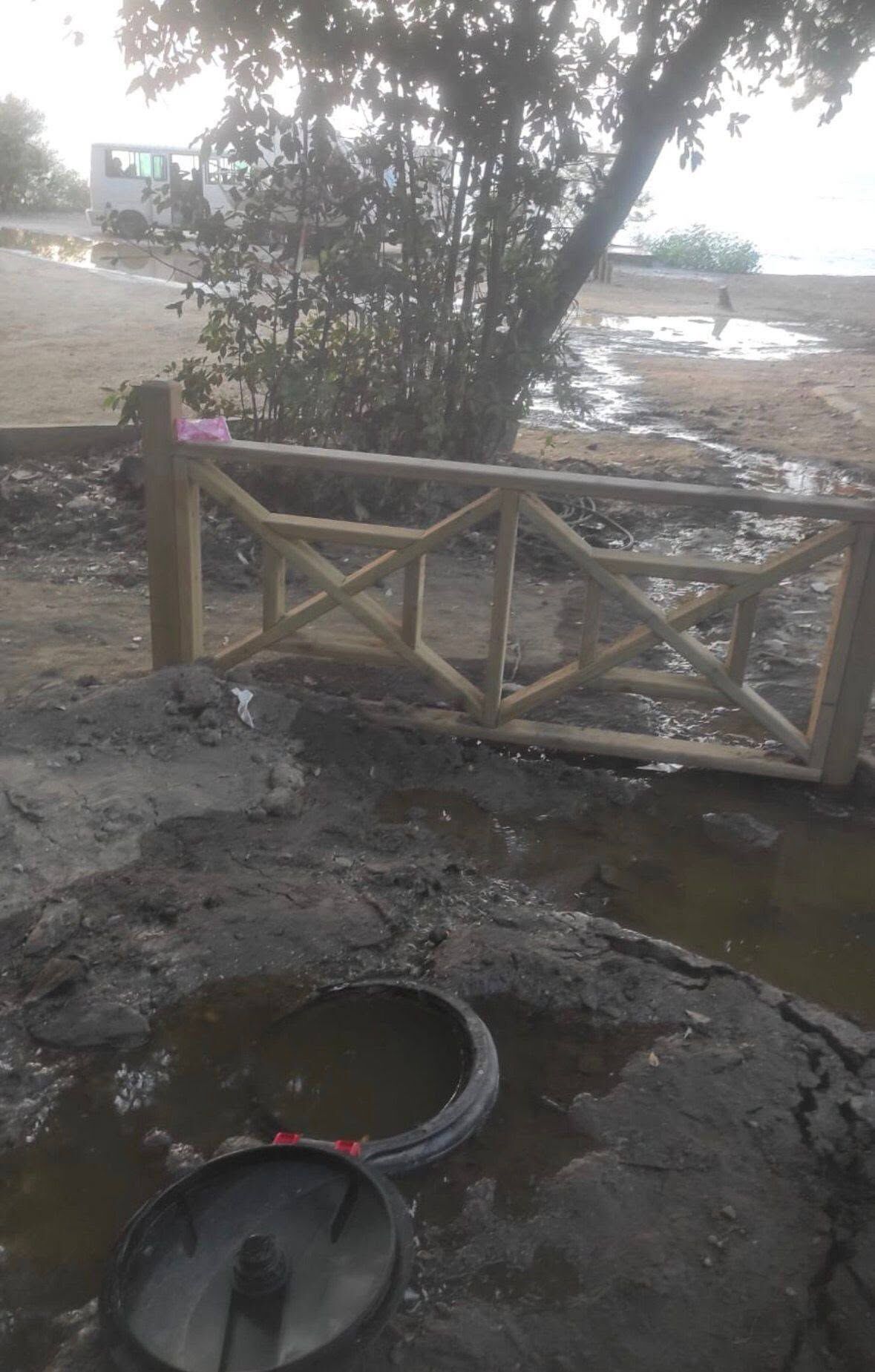 Kuşadası Milli Park’ta Çevre Skandalı (5)
