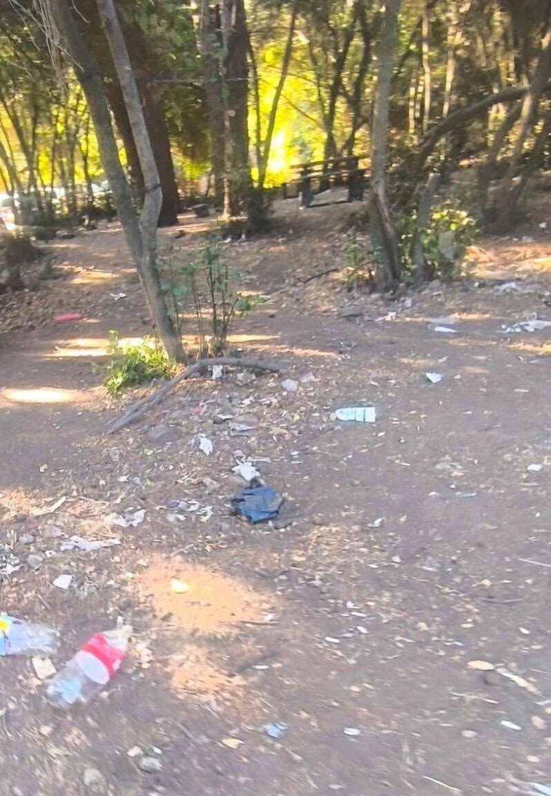 Kuşadası Milli Park’ta Çevre Skandalı (7)