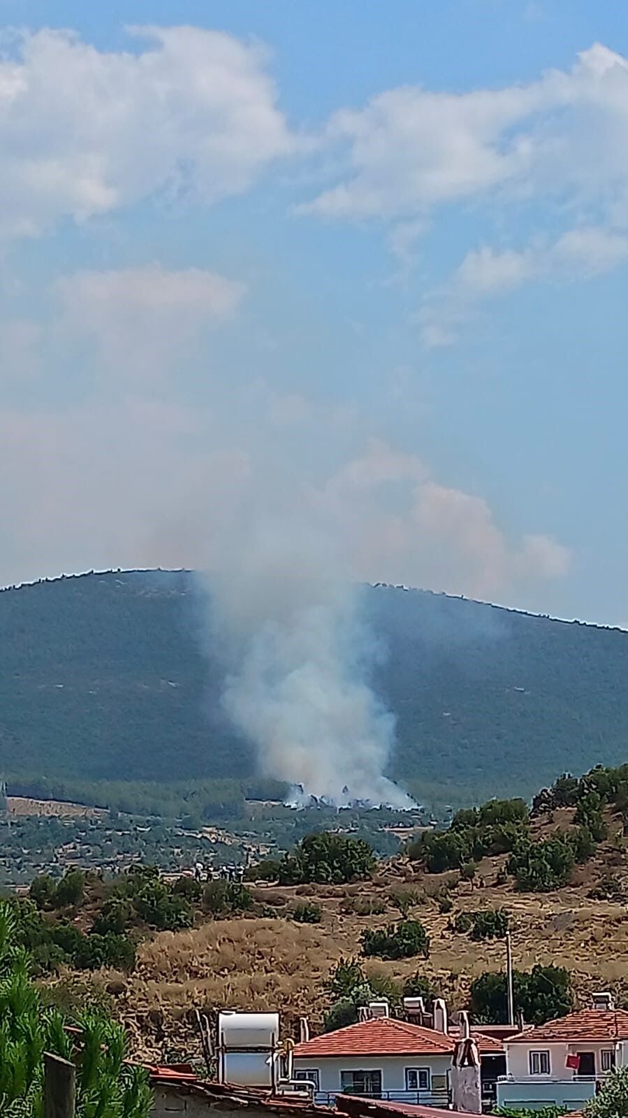 Orman Yangını Çıktı (2)-2