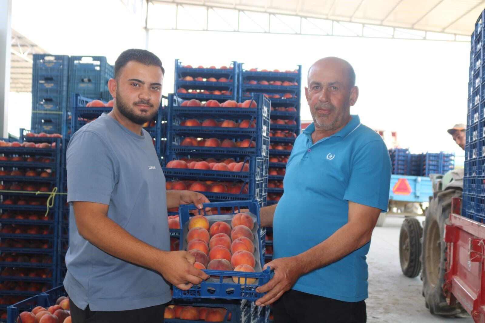 Şeftalide Durum Altüst Oldu (1)