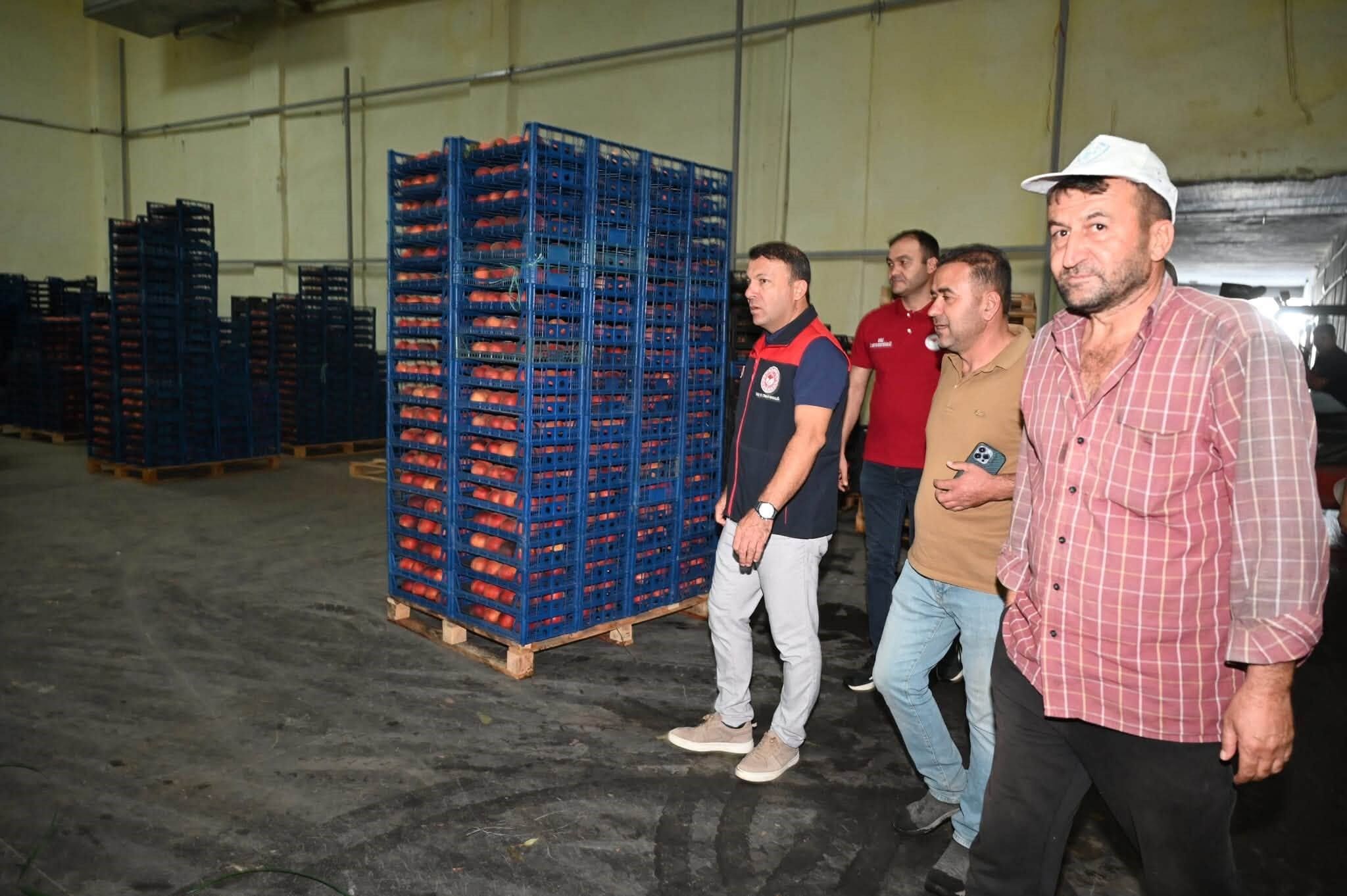 Tarladan Sofraya Emek (3)