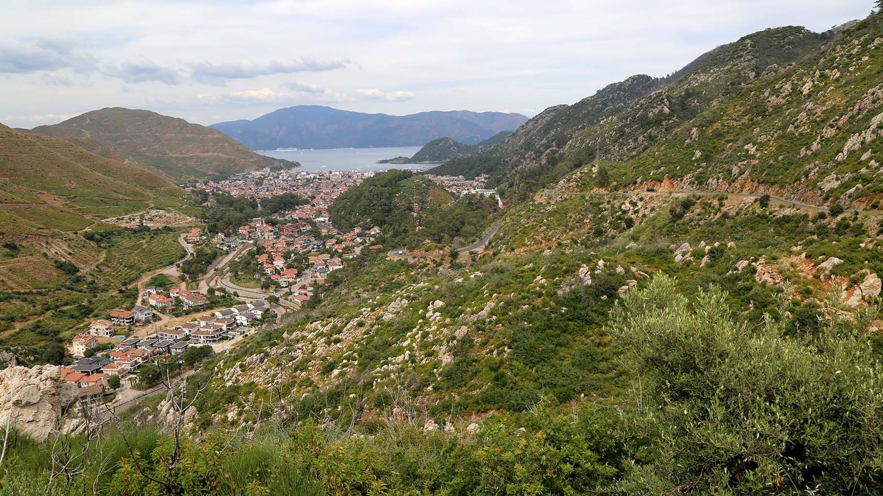 Yanan Alanlar Tekrar Yeşile Döndü (2)