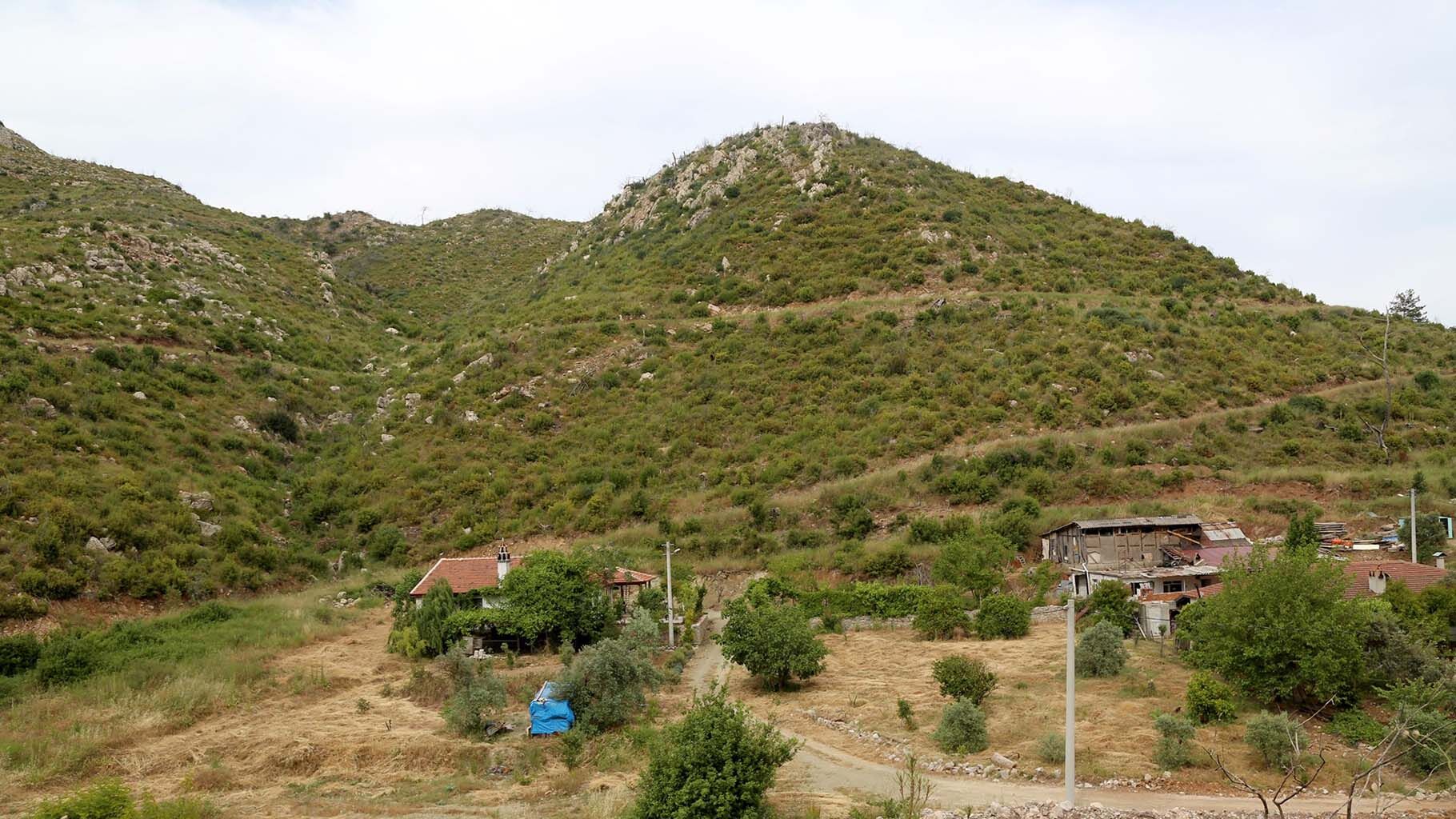 Yanan Alanlar Tekrar Yeşile Döndü (5)