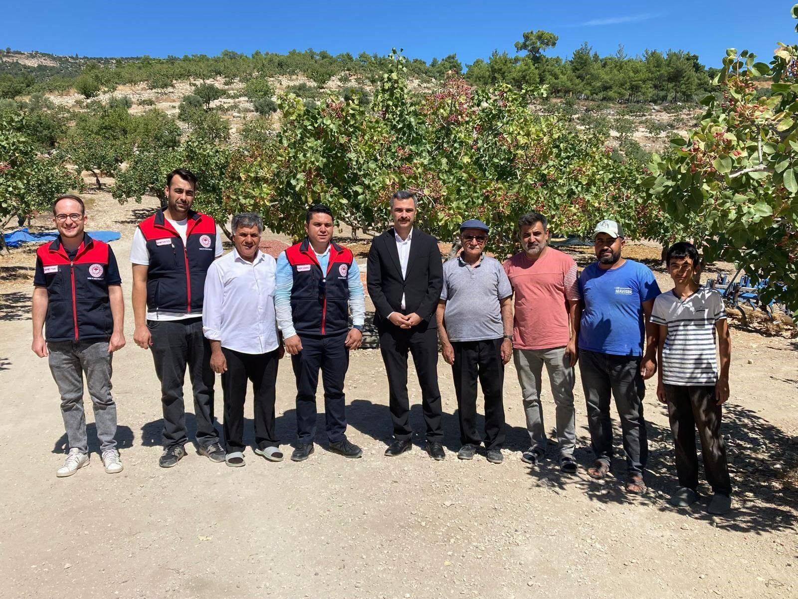 Antep Fıstıkları Üreticinin Yüzünü Güldürüyor (6)