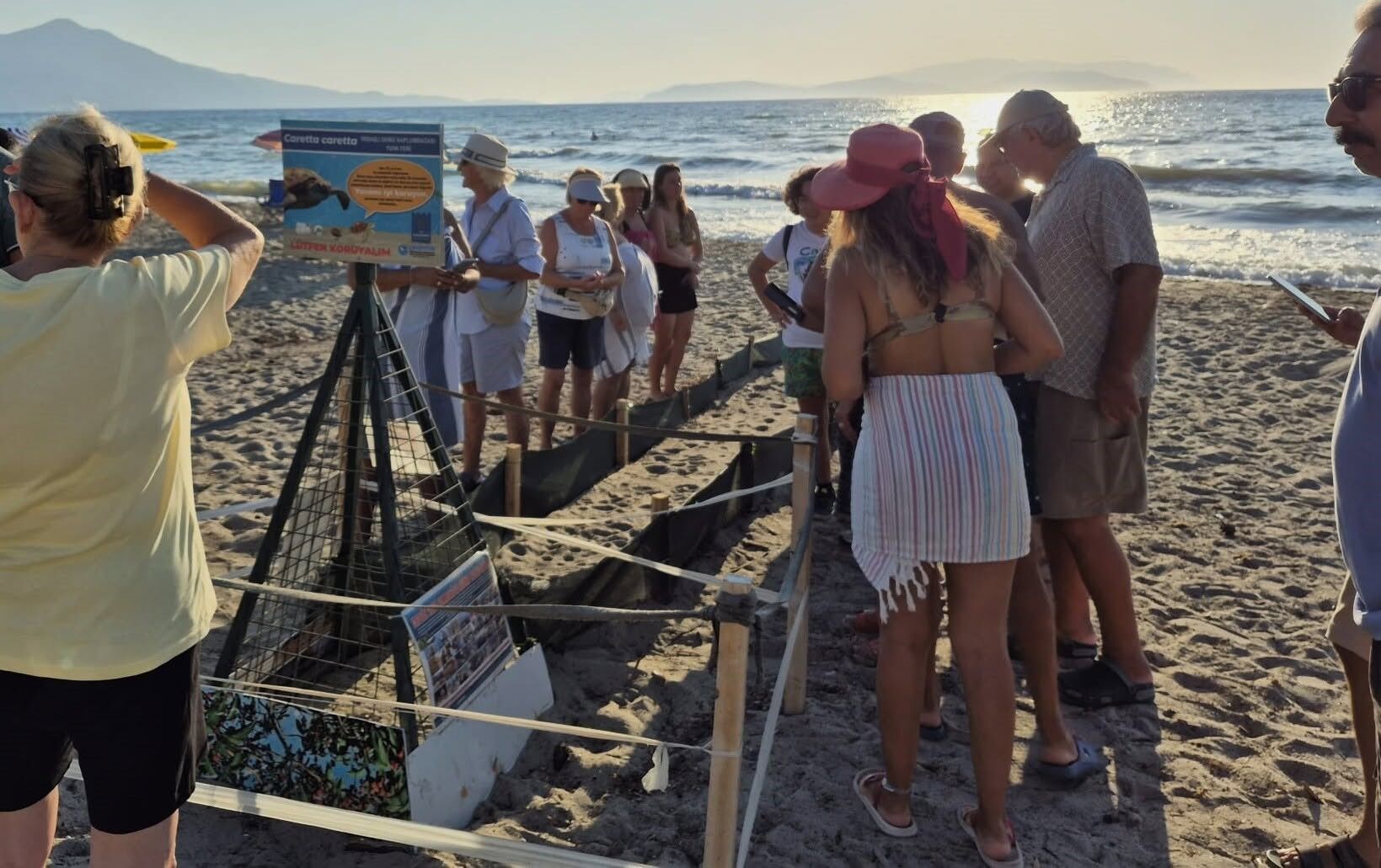Aydın Kıyılarında 214 Yavru Caretta Denizle Buluştu (3)