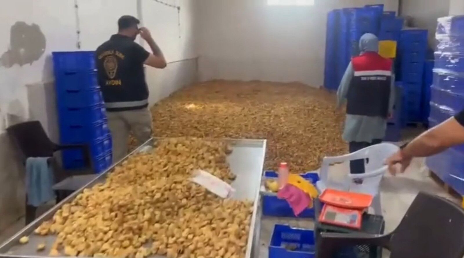 Aydın Köşk’te 20 milyon lira değerinde etiketsiz kuru incir ele geçirildi