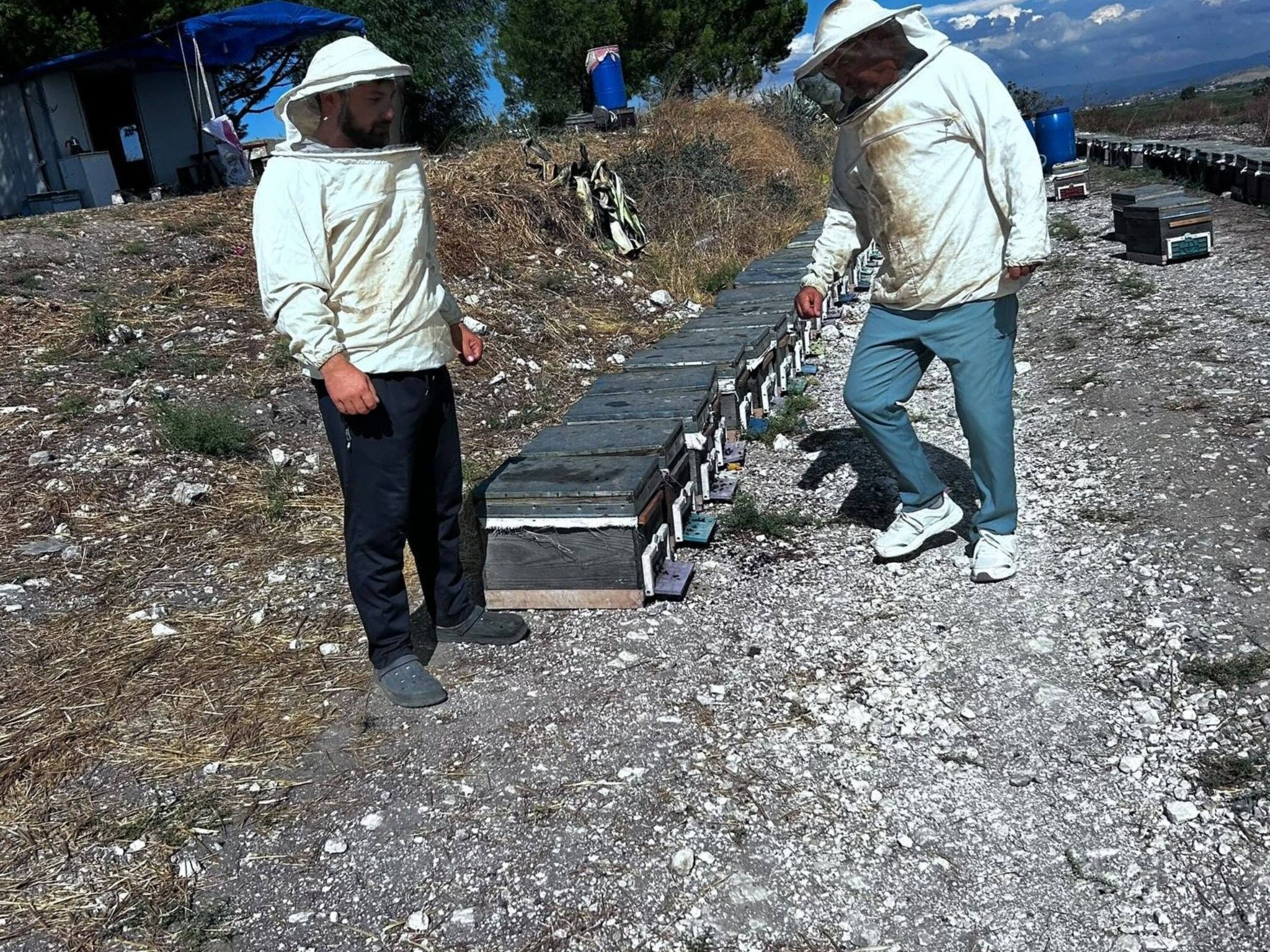 Aydın’da Arıcılık Çalışmaları Devam Ediyor (4)