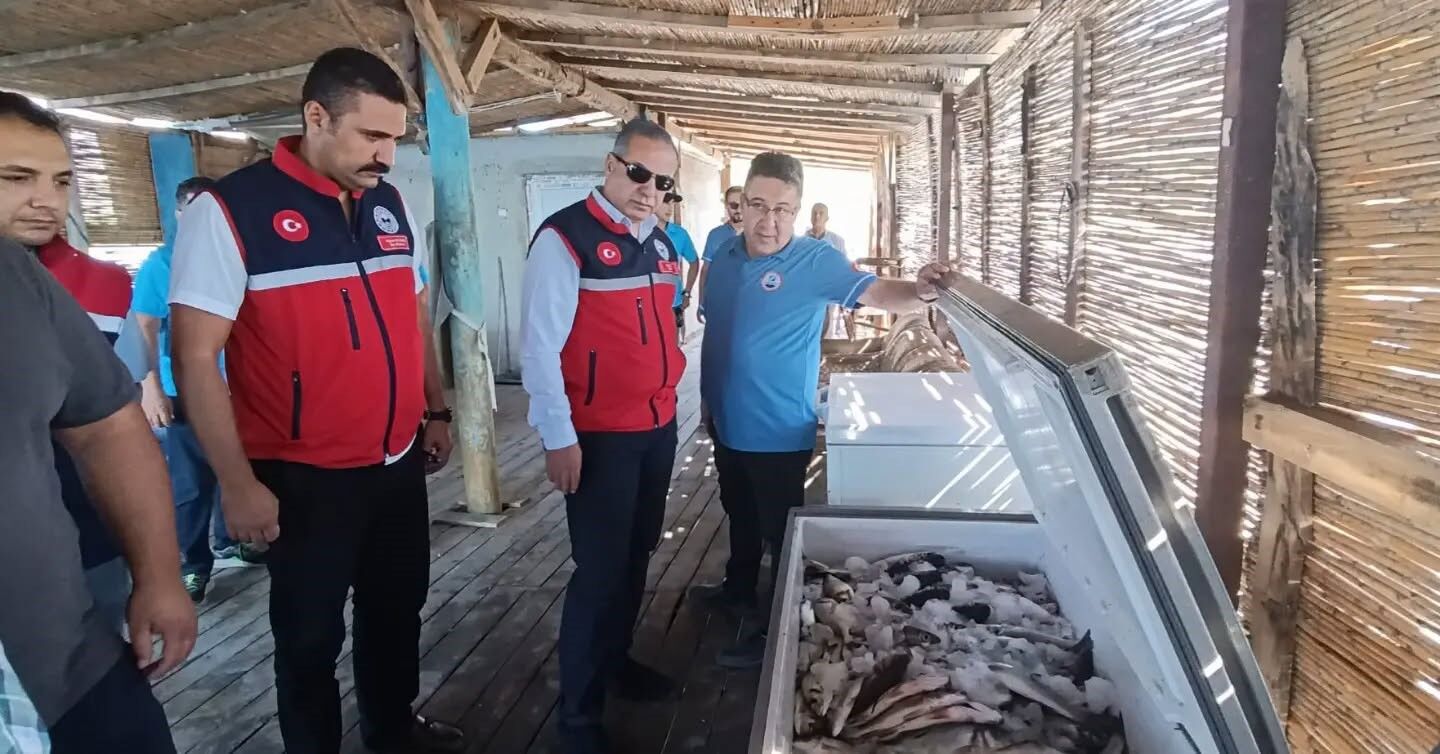 Aydın’da Ekipler Karina Dalyanı’nda (1)