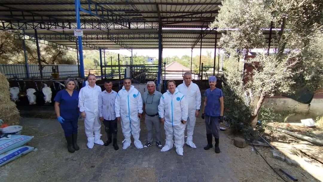 Aydın’da Hayvanlar Aşılanıyor (3)-4